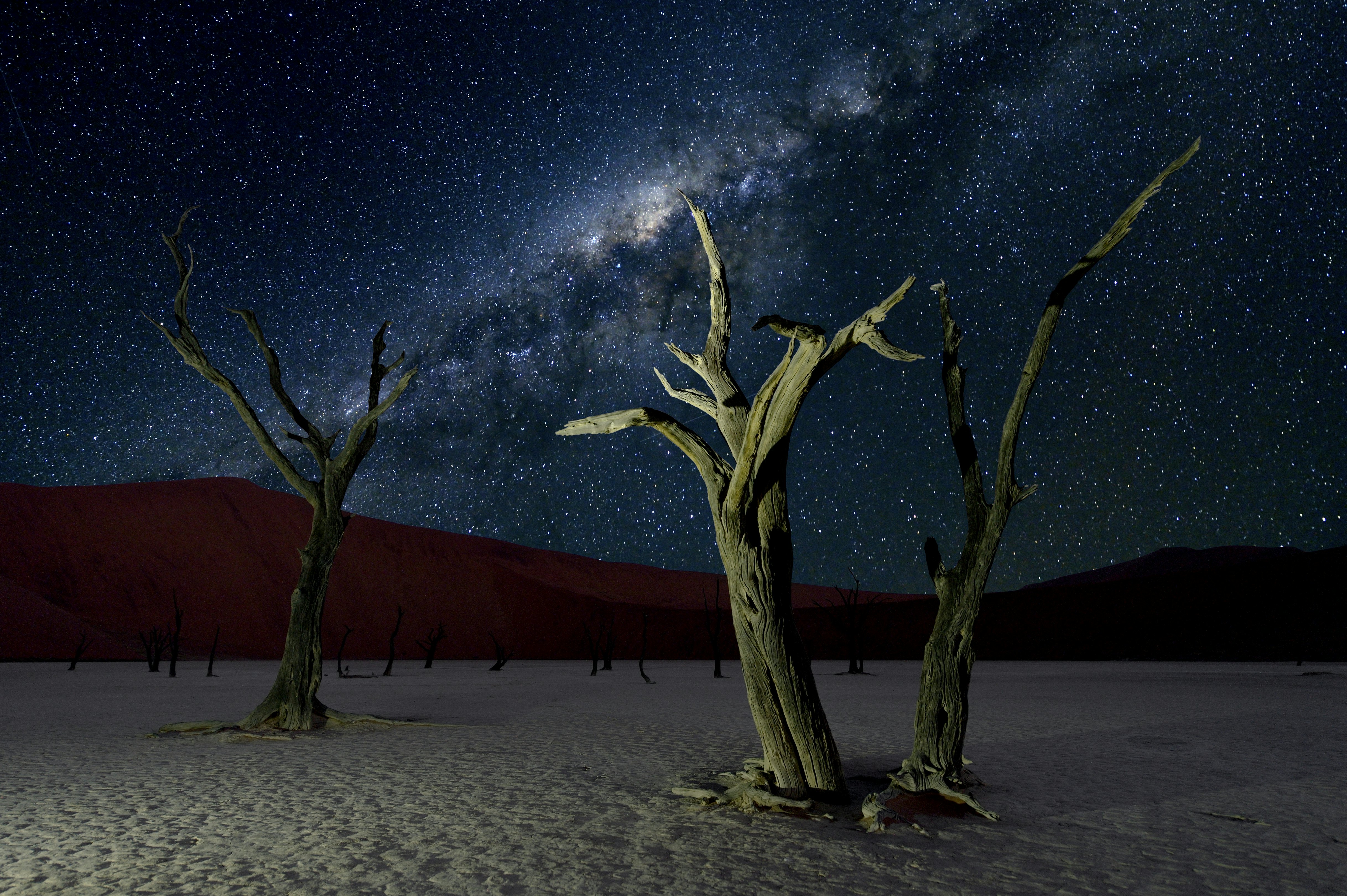 The dead Camelthorn trees in the famous Deadvlei are one of the Hotspots for Photographers all over the world.
